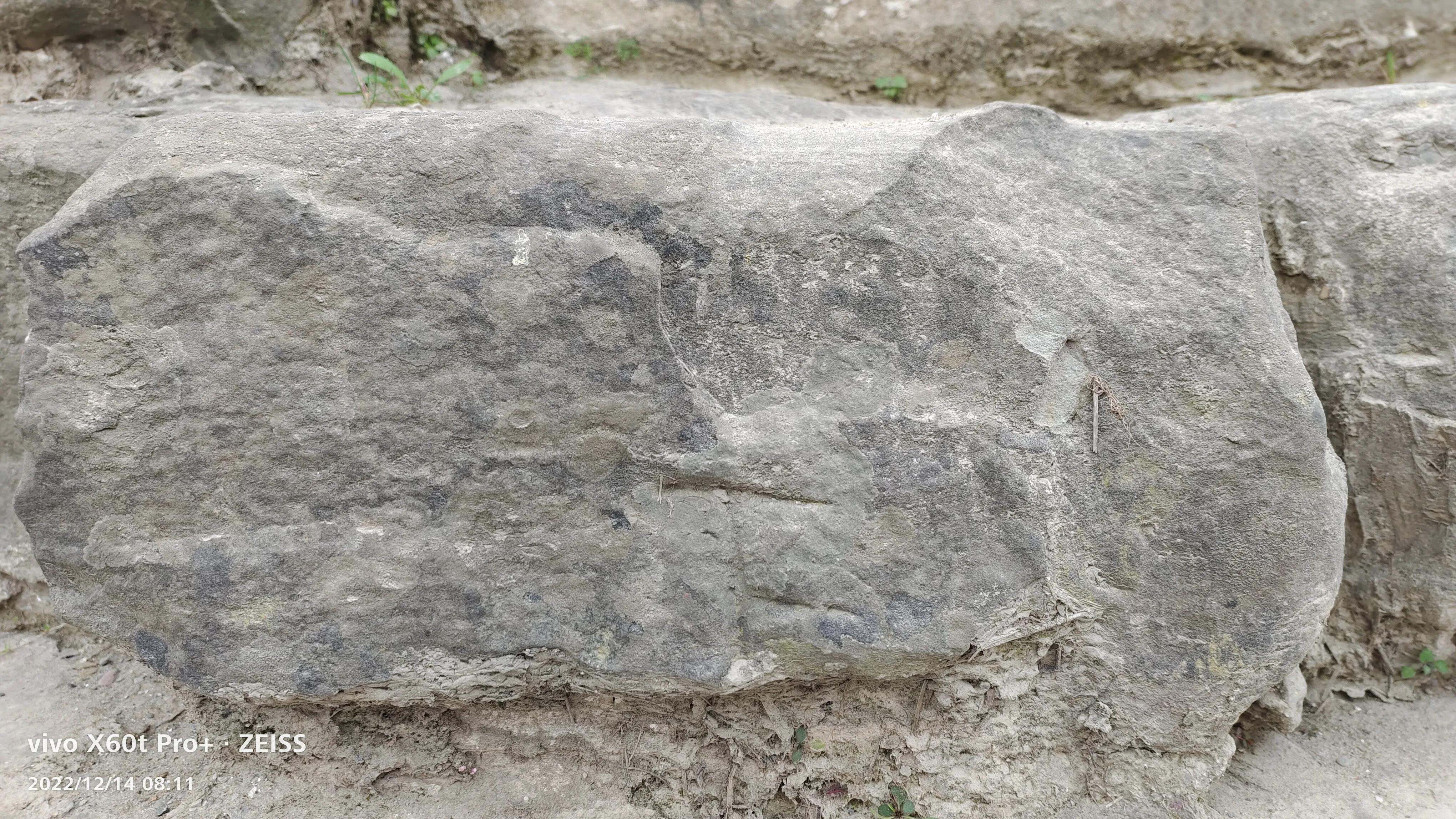 阆中鱼翅广场历史介绍,阆中鱼翅遗迹