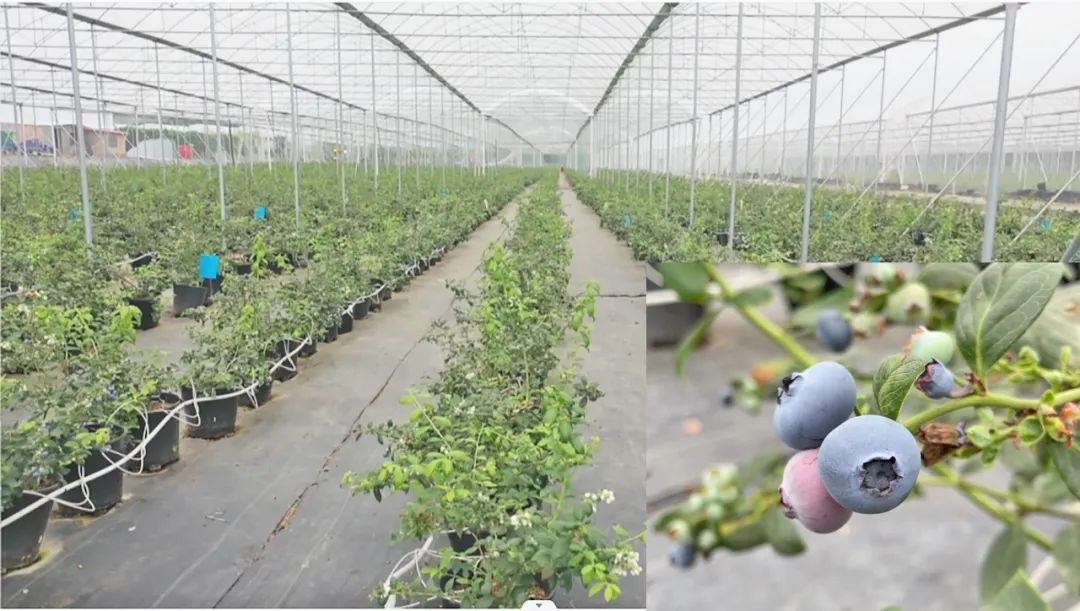 鑳介噺鍛ㄥ垔,鍏虫敞浜戞诞鏂伴椈