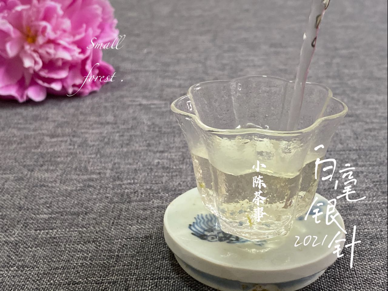 好几千买的白毫银针,怎么冲泡才不浪费?老茶客:5个细节很重要