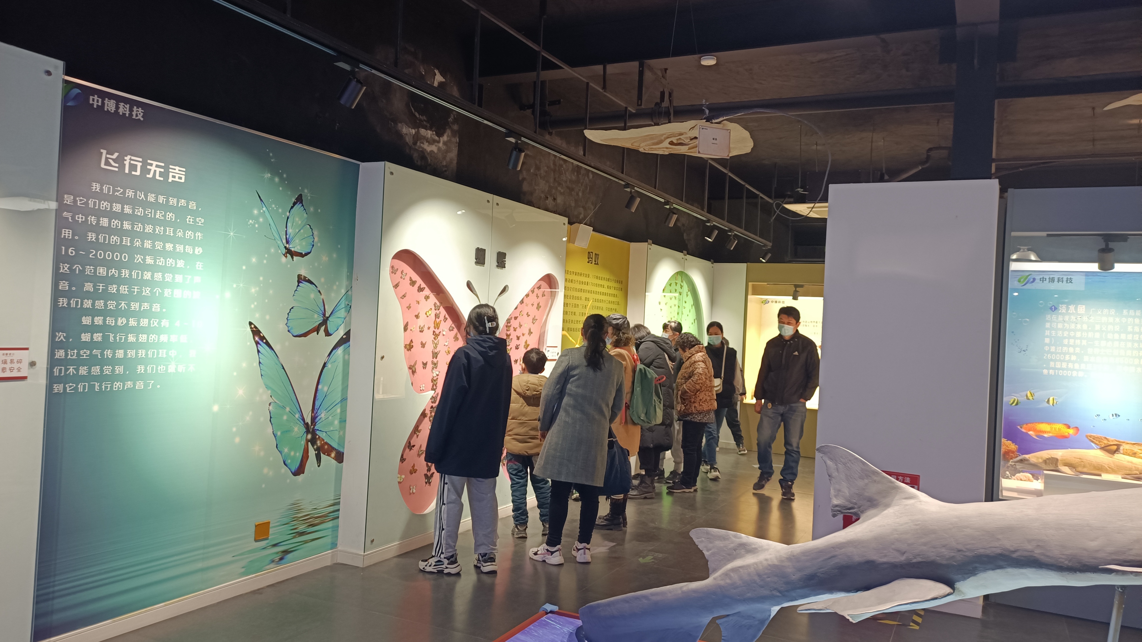 郑州七月份适合带孩子去哪旅游,郑州周边五一适合去哪旅游带孩子