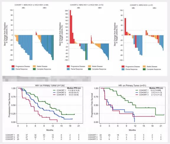 her2低表达乳腺癌临床诊疗共识,上海复旦大学肿瘤医院乳腺科吴炅