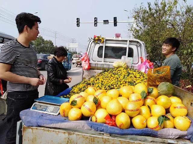 农村做什么小生意赚钱又简单,农村适合做什么小生意投资不多的