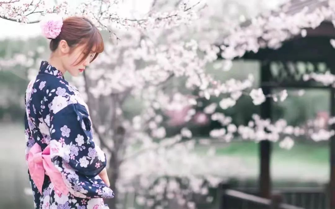 成都周边赏花烧烤一日游推荐免费,成都赏樱花露营