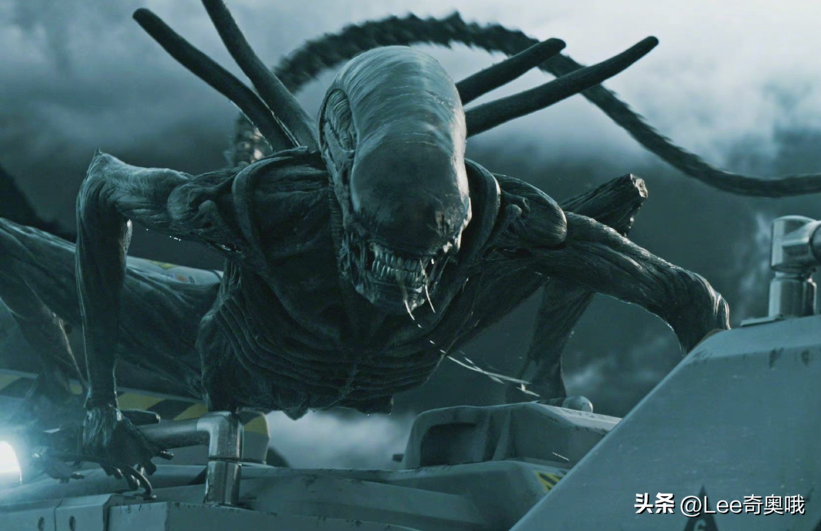 异形罗慕路斯开拍,异形罗慕路斯免费观看完整版