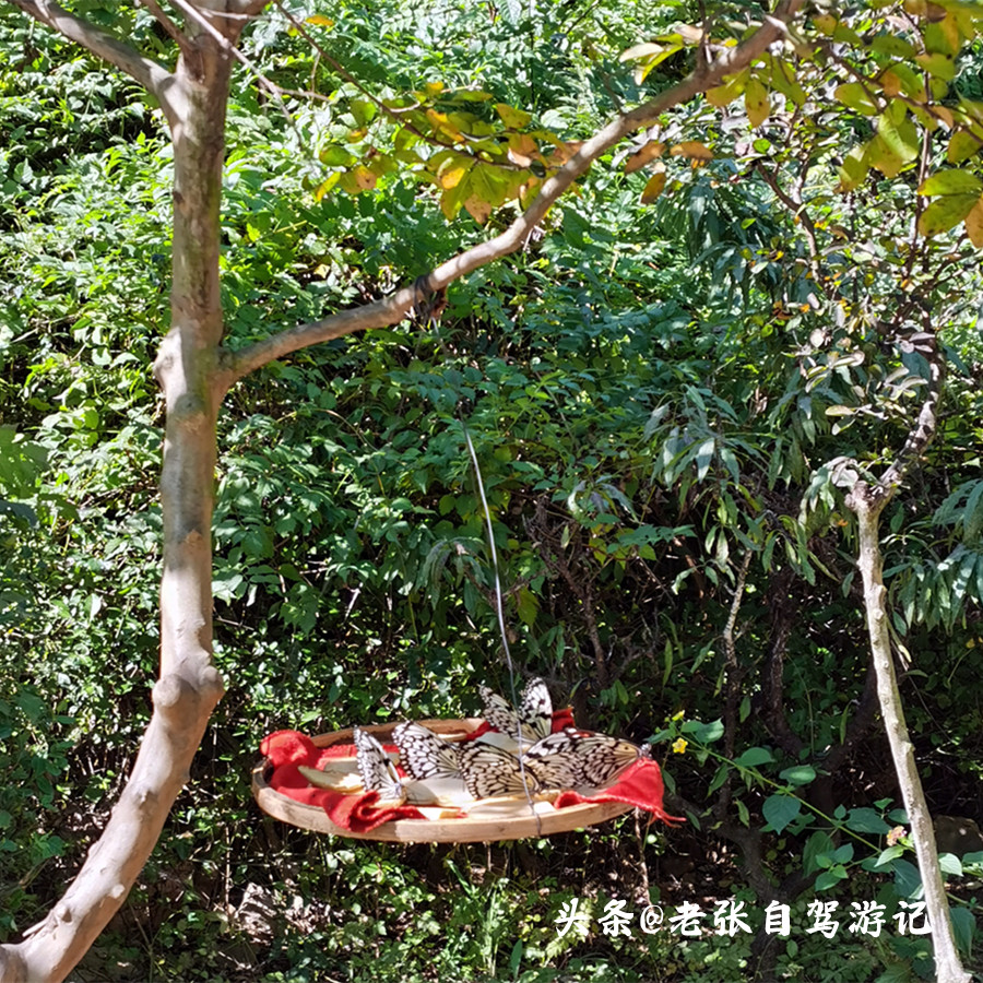 山东最低调5a旅游景区,山东旅游最值得去的十个景点排名