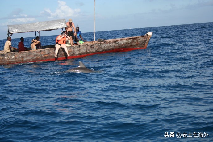 坦桑尼亚有什么特别的,坦桑尼亚是最不发达国家吗