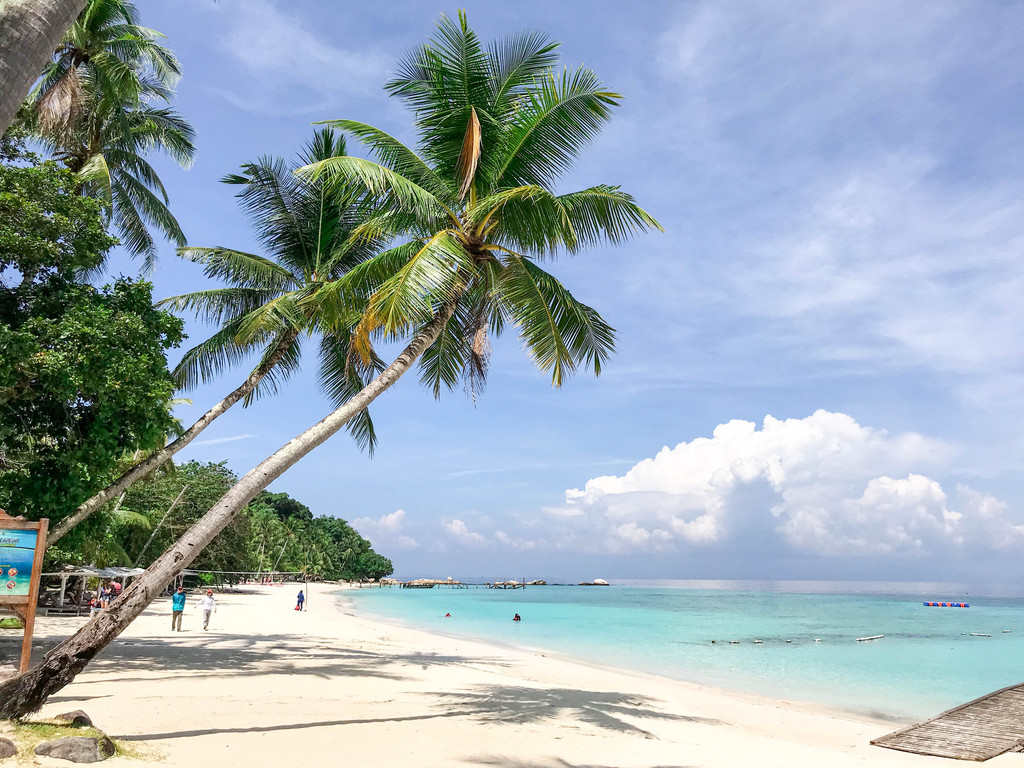 马来西亚移民卡是什么样子,马来西亚红卡申请条件费用多少