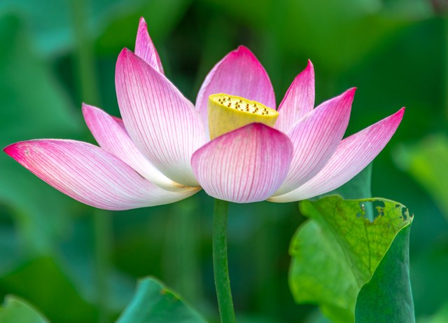 放假回家我给未见过面的侄子一千，弟媳妇嫌少，母亲：把钱收起来