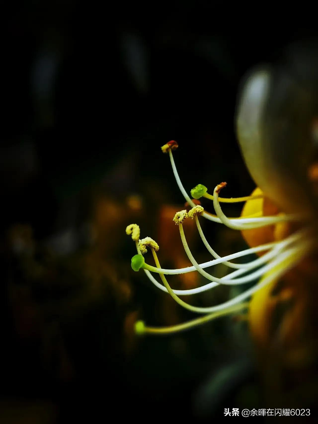 元条小头折断将幻影打下车去她重伤入院