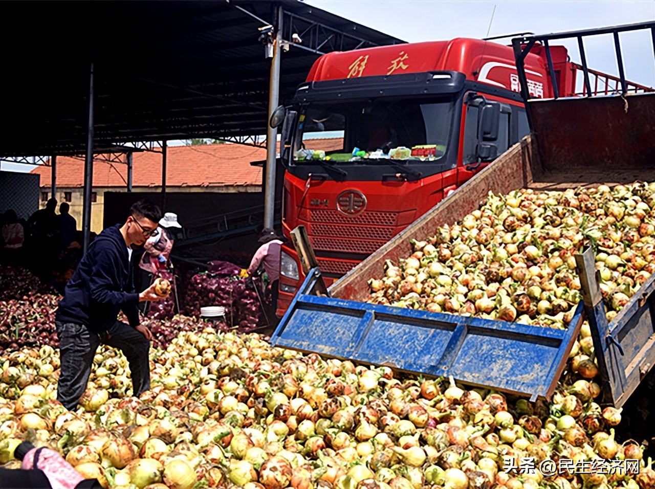 带动农民脱贫致富实现乡村振兴,党旗引领乡村振兴带动农民工就业