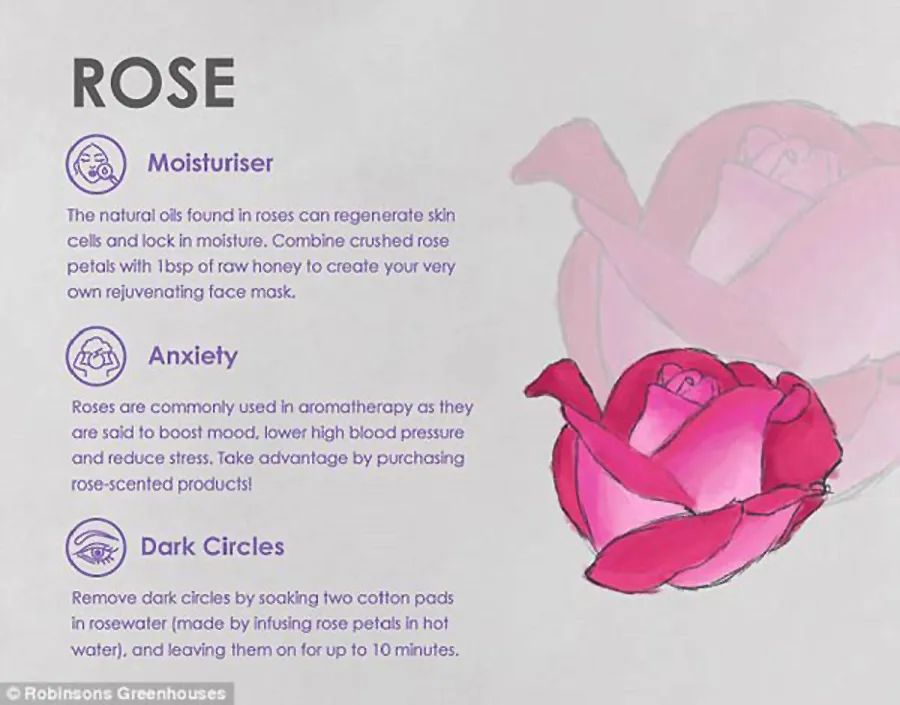 【双语资讯】鲜花天然美容法，皱纹、痘痘、黑眼圈全搞定