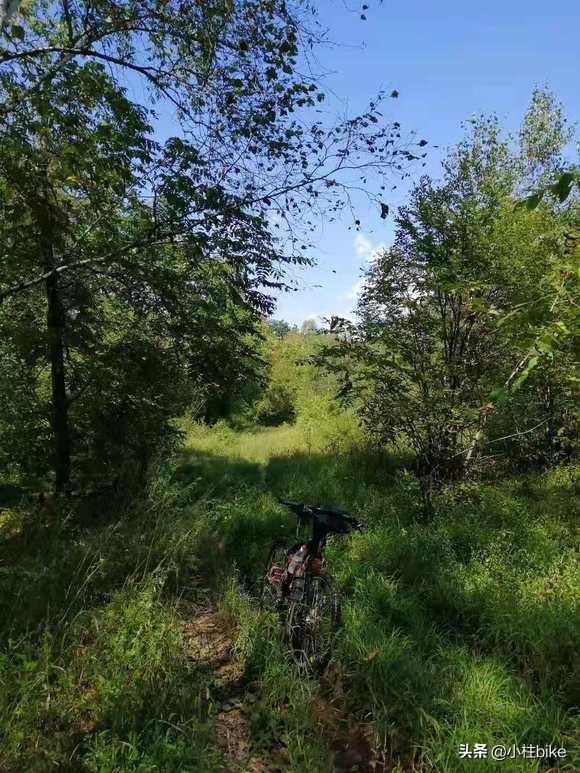 十款最佳通勤自行车旅行车,最适合家用旅行的好自行车