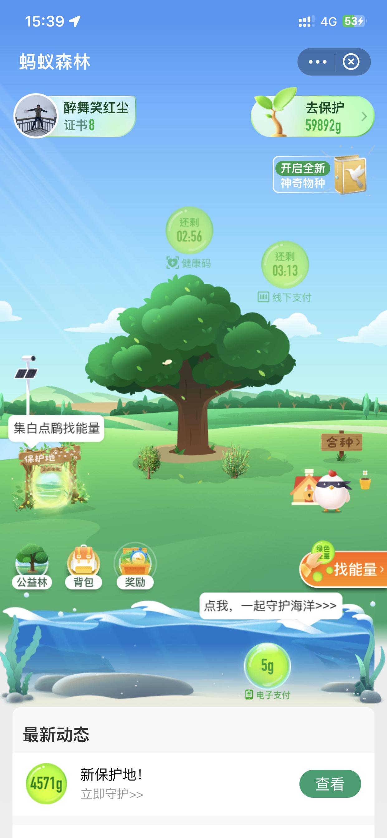 有多少人在蚂蚁森林种树了,有多少人在蚂蚁森林种树