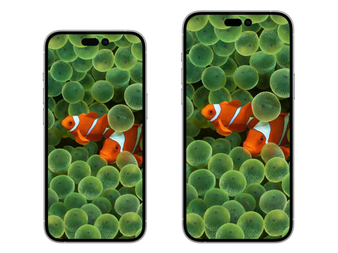 iphone14系列被曝多少钱,iphone14烂屏图片