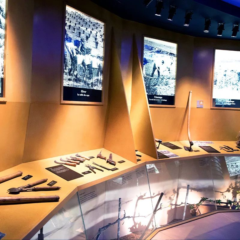 香槟葡萄园旅行,旅游香槟