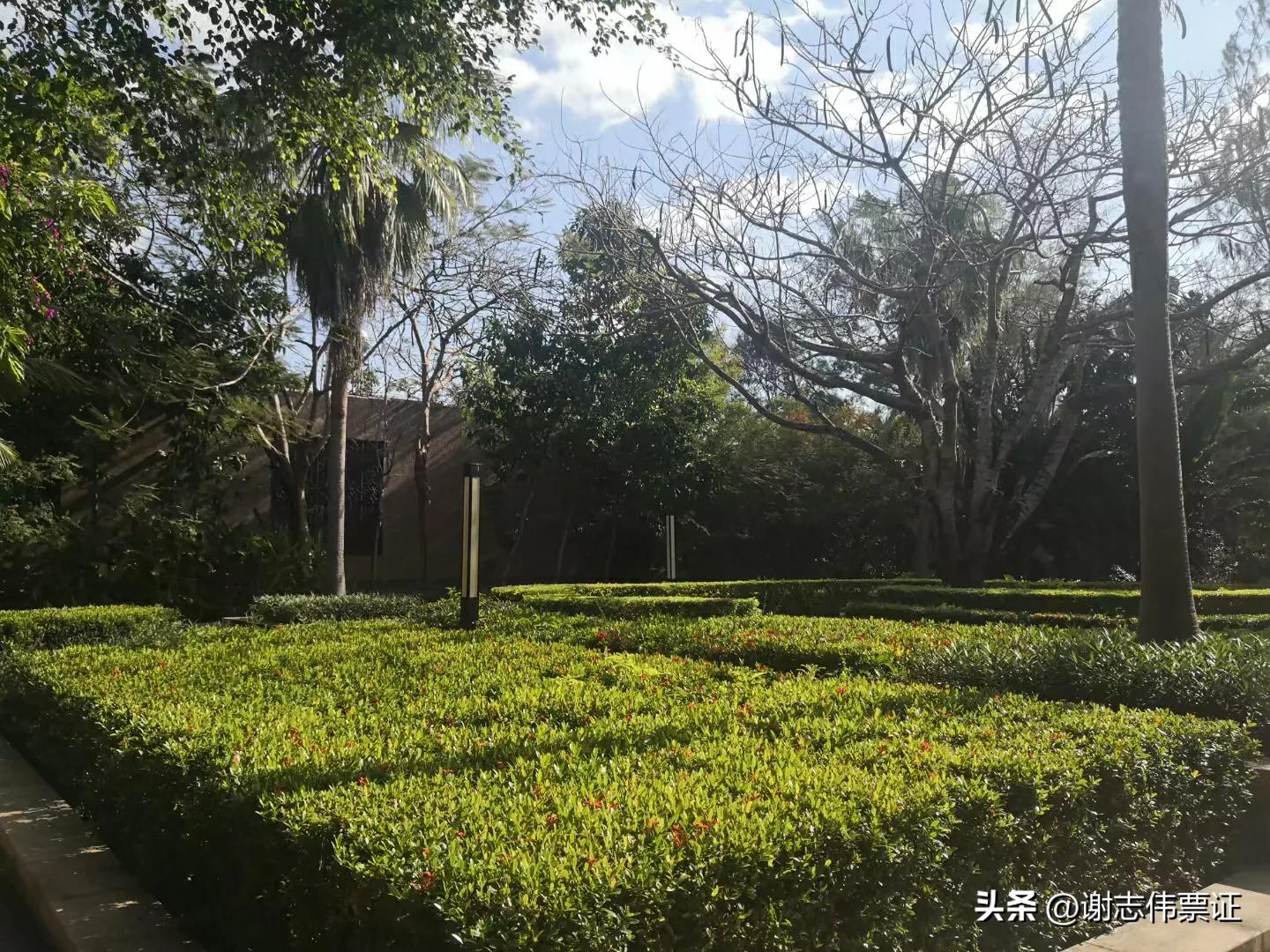 海南风情（050）彩色转盘新颖别致