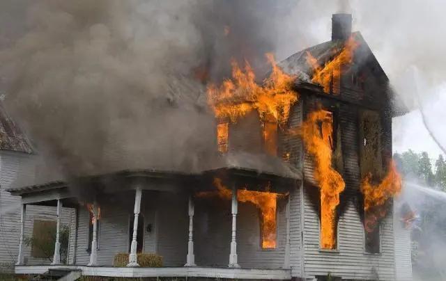 俄罗斯总统普京的5朵金花,普京身边的五朵小花