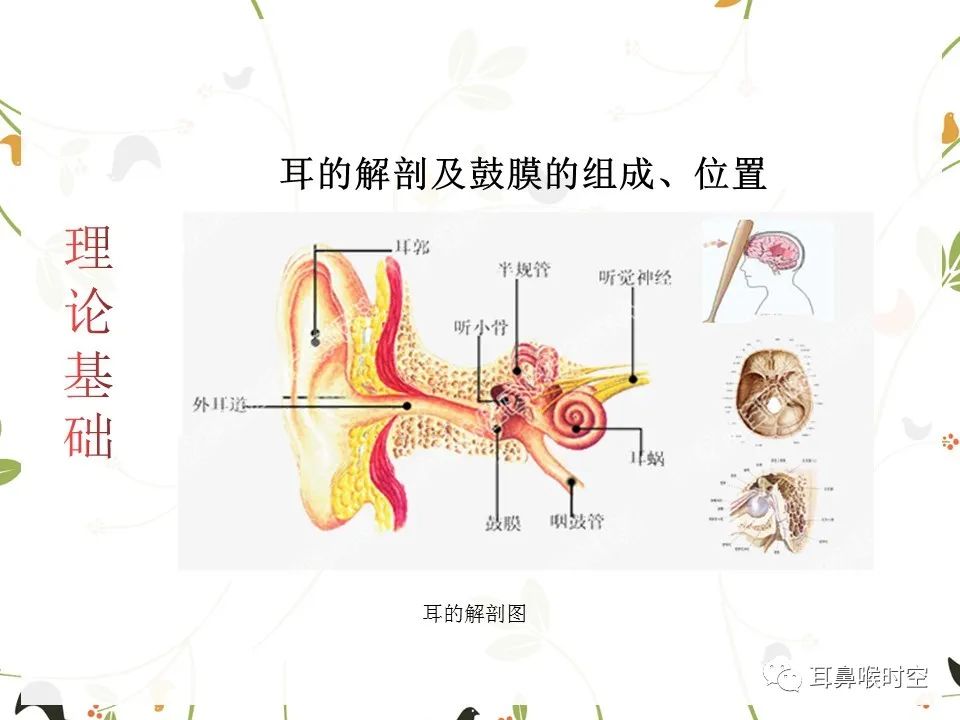 鼓膜可见穿孔,鼓膜穿孔听力下降能恢复吗