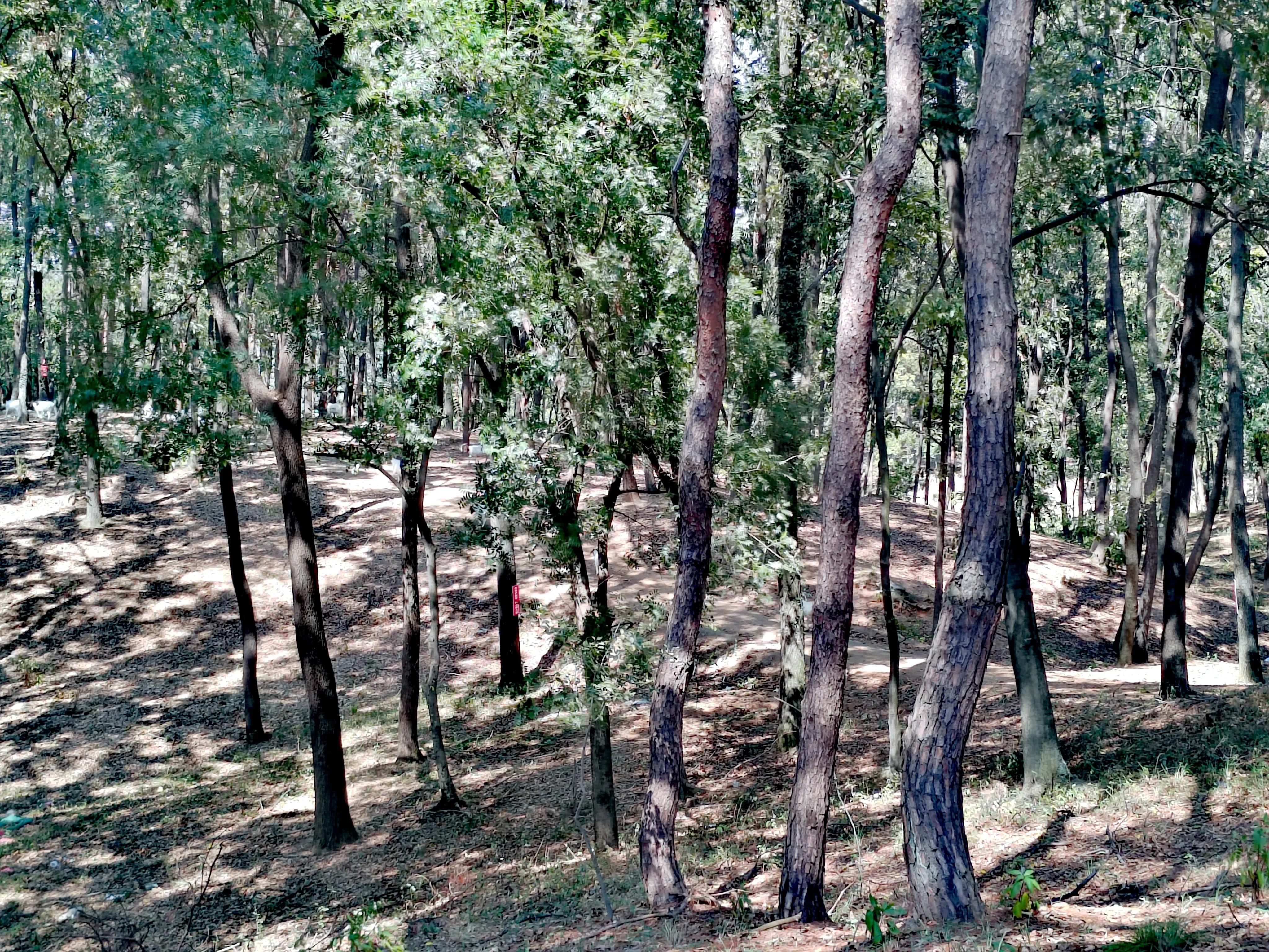 南京春天旅游露营攻略大全,大柳草场露营怎么走