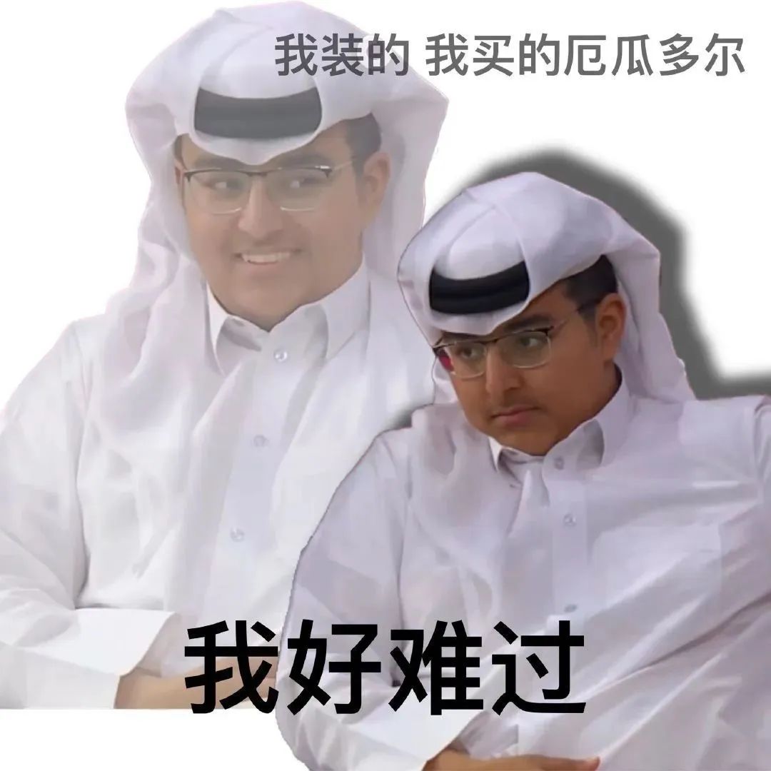 卡塔尔15岁小王子表情包,卡塔尔小王子气出表情包原视频