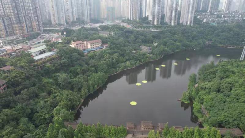 航拍九龙坡区高清旅游视频,重庆九龙坡区景色美图