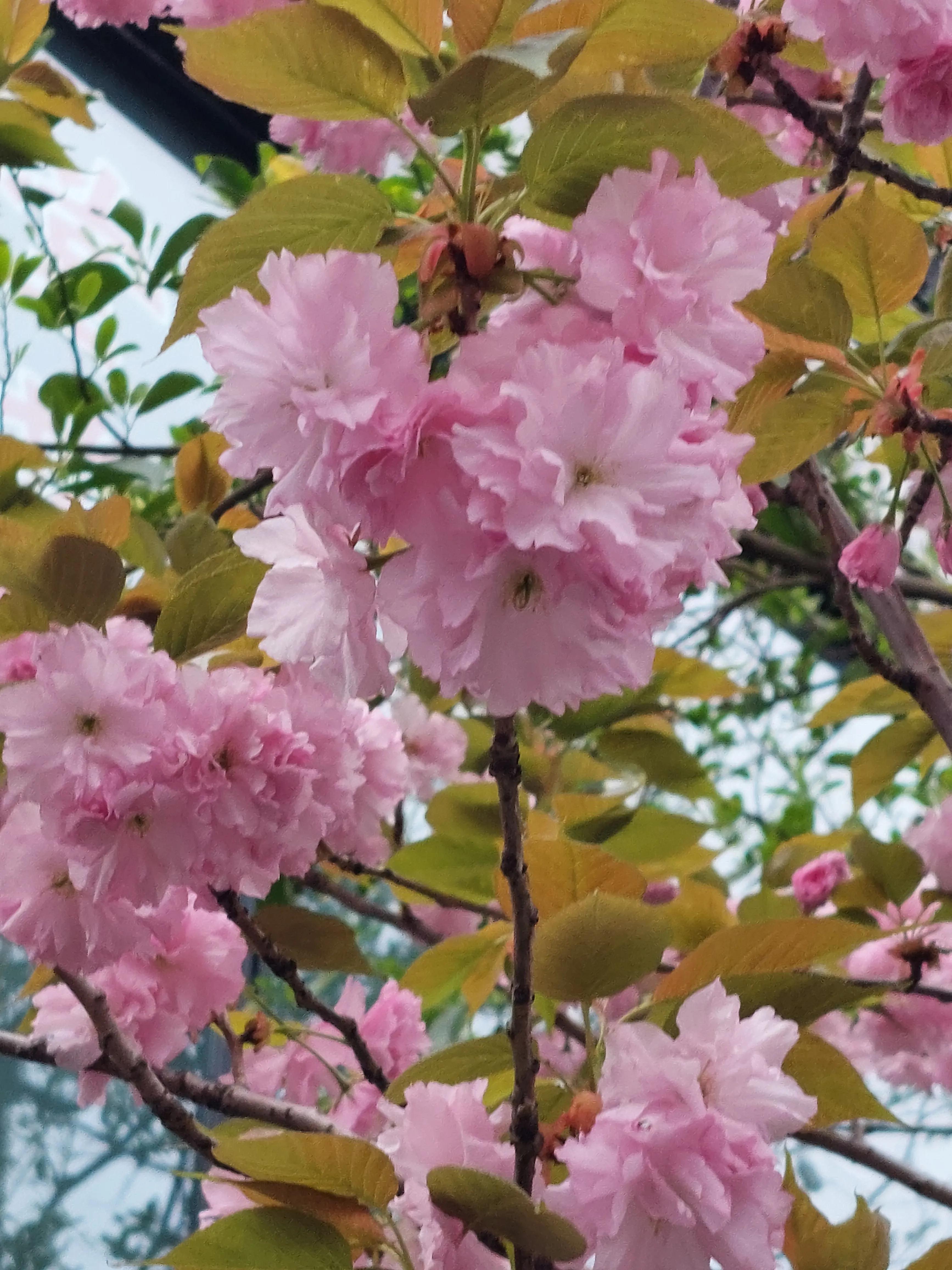 裁员后面试中问到离职原因,会计面试时被问到离职原因