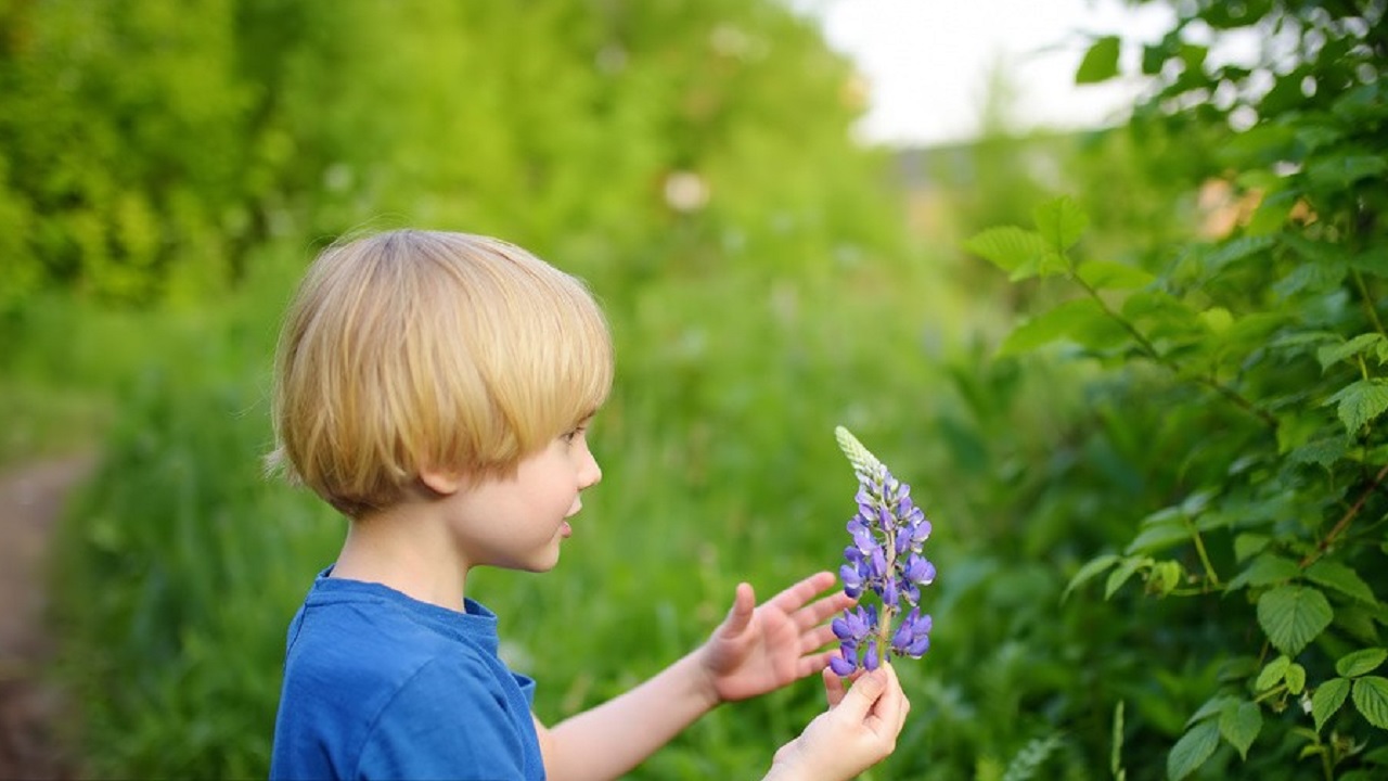医生忠告:家长们别再跟风了!没必要让孩子的“丁丁”白挨一刀