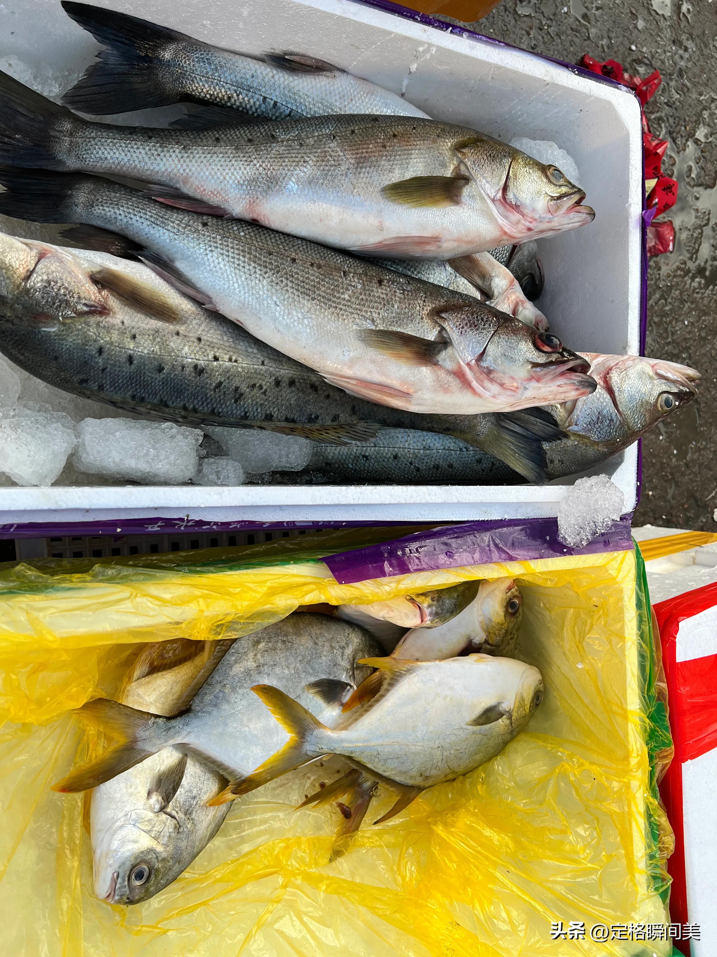 梭子蟹多少钱一斤黄岛,抢购梭子蟹30元一斤