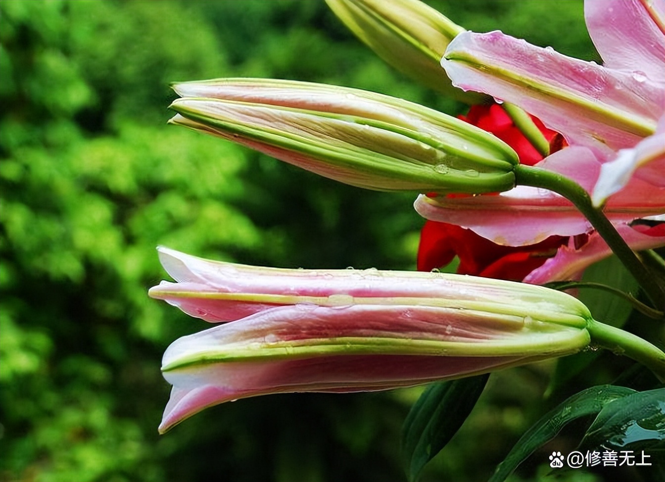 男不带天，女不带仙，关于名字的学问，你知道吗？