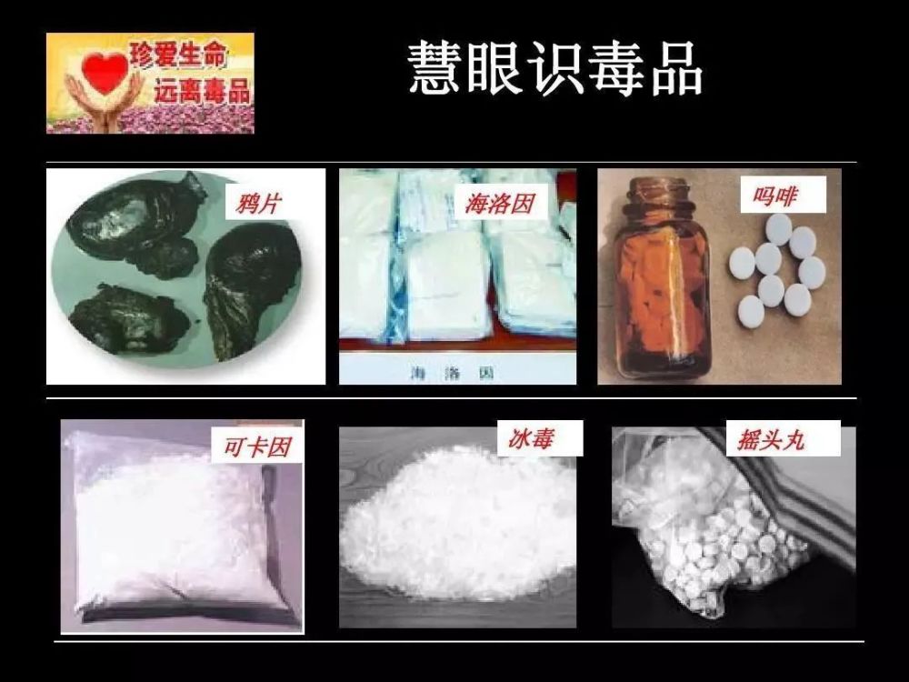 禁毒知识内容抄写,禁毒知识摘抄句子