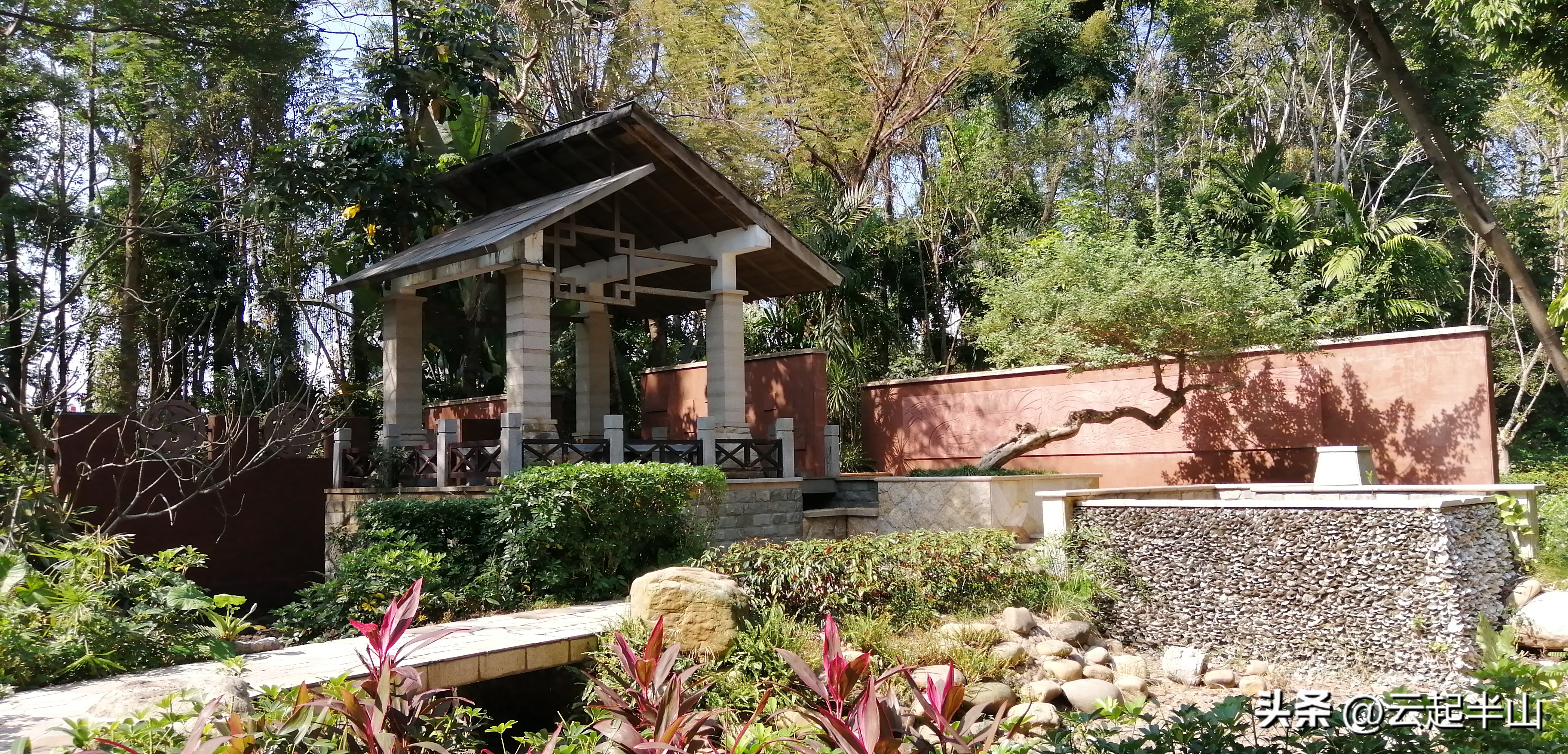 浅浅地玩、深深的圳