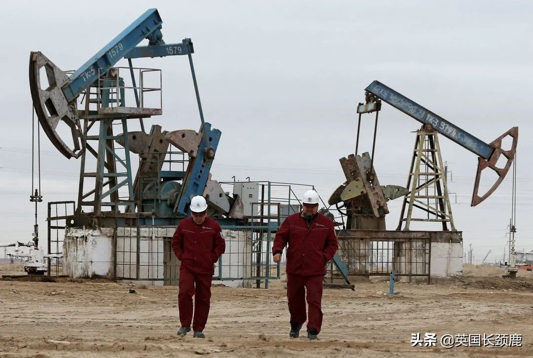 女王伊丽莎白珍贵影像,英国女王珍贵影像