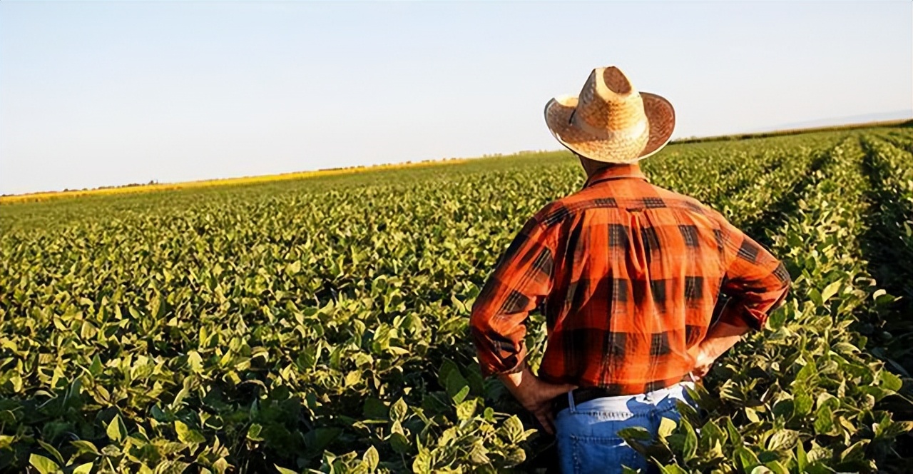 当个农民需要哪些证,当农民需要农民证件吗
