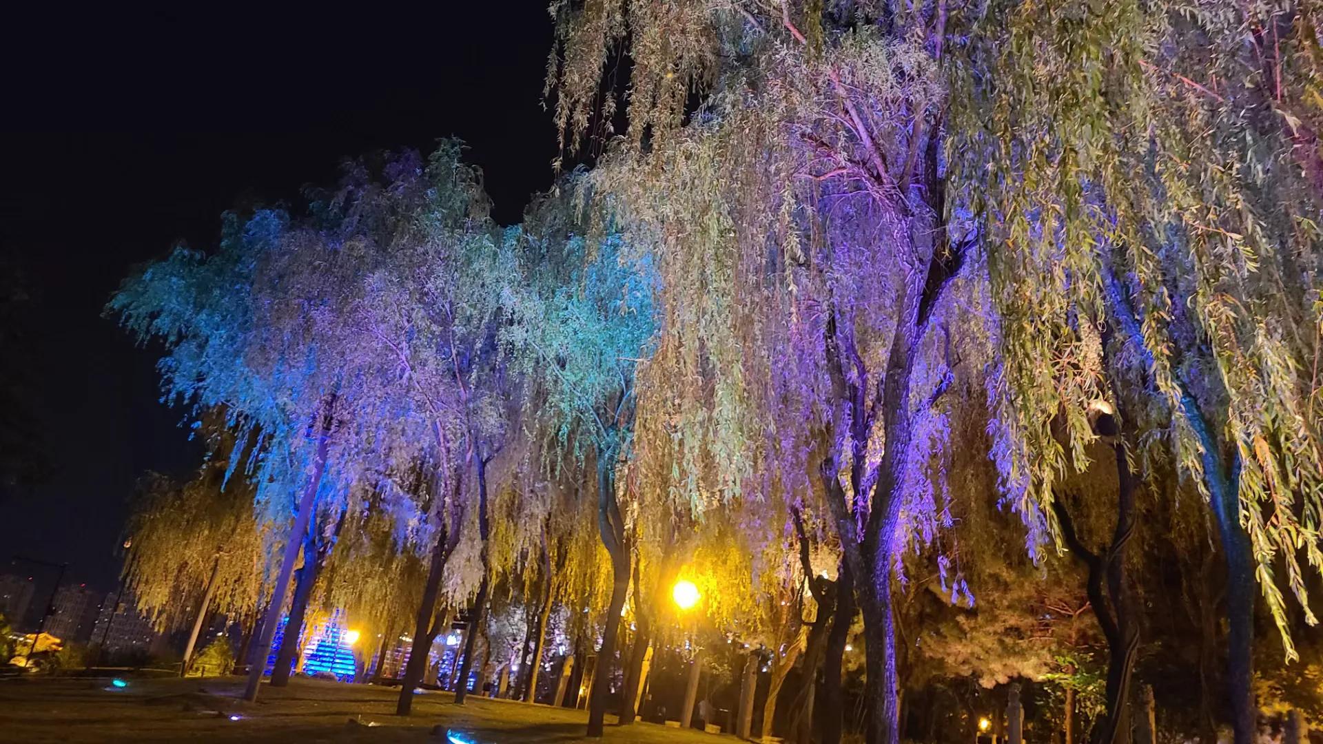 情感论坛情感天地,情感电台