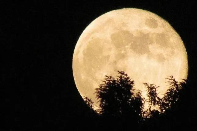 月亮唯美的诗句,月亮相关的优美诗句