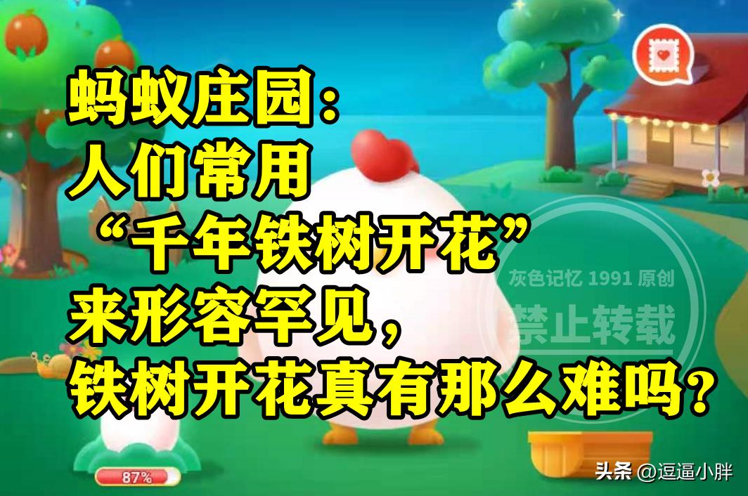 为什么说铁树开花千年难遇,怎么形容铁树开花