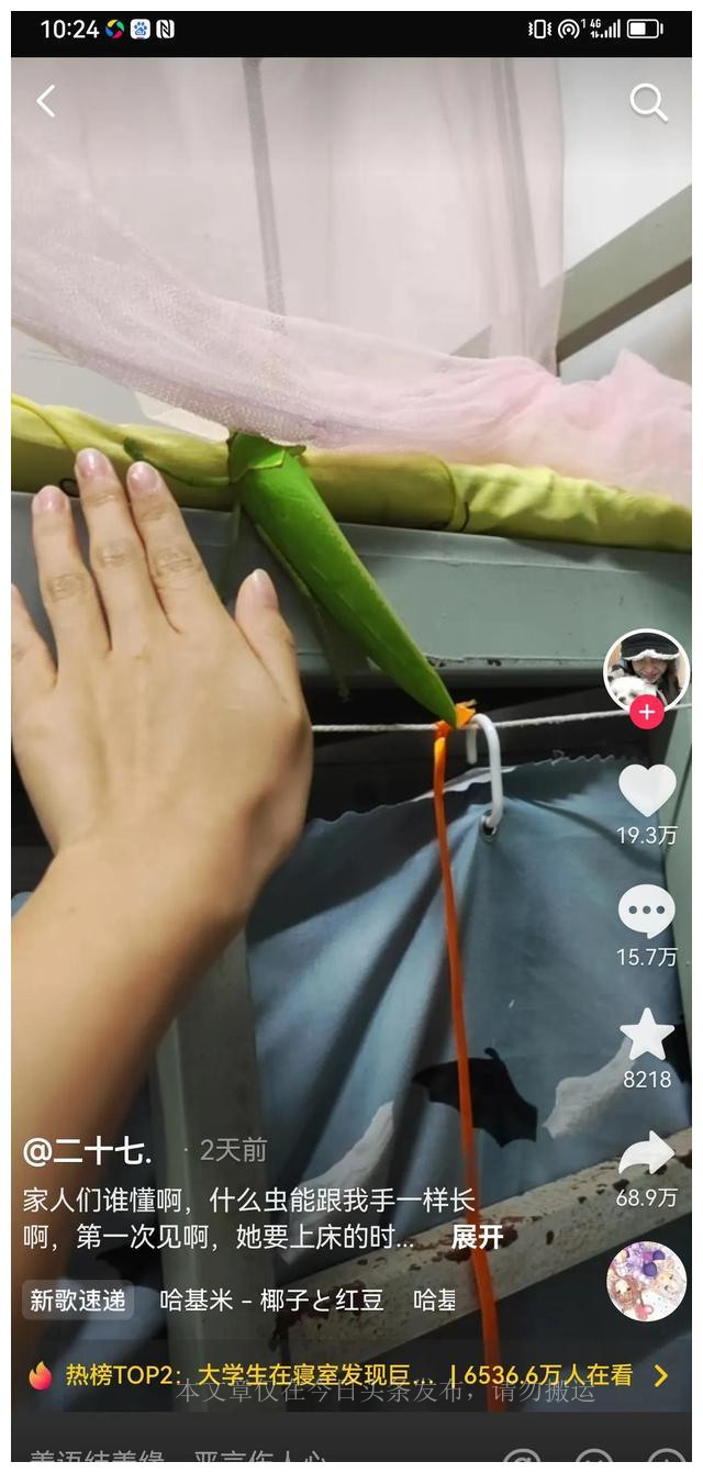 巨拟叶螽有铁线虫吗,巨拟叶螽是国家几级保护动物