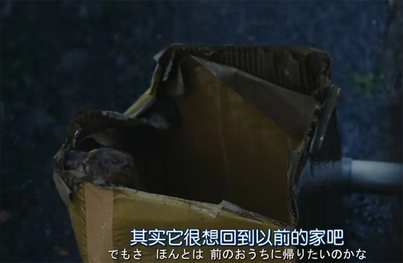 日版无间道解说,日版无间道哪能看