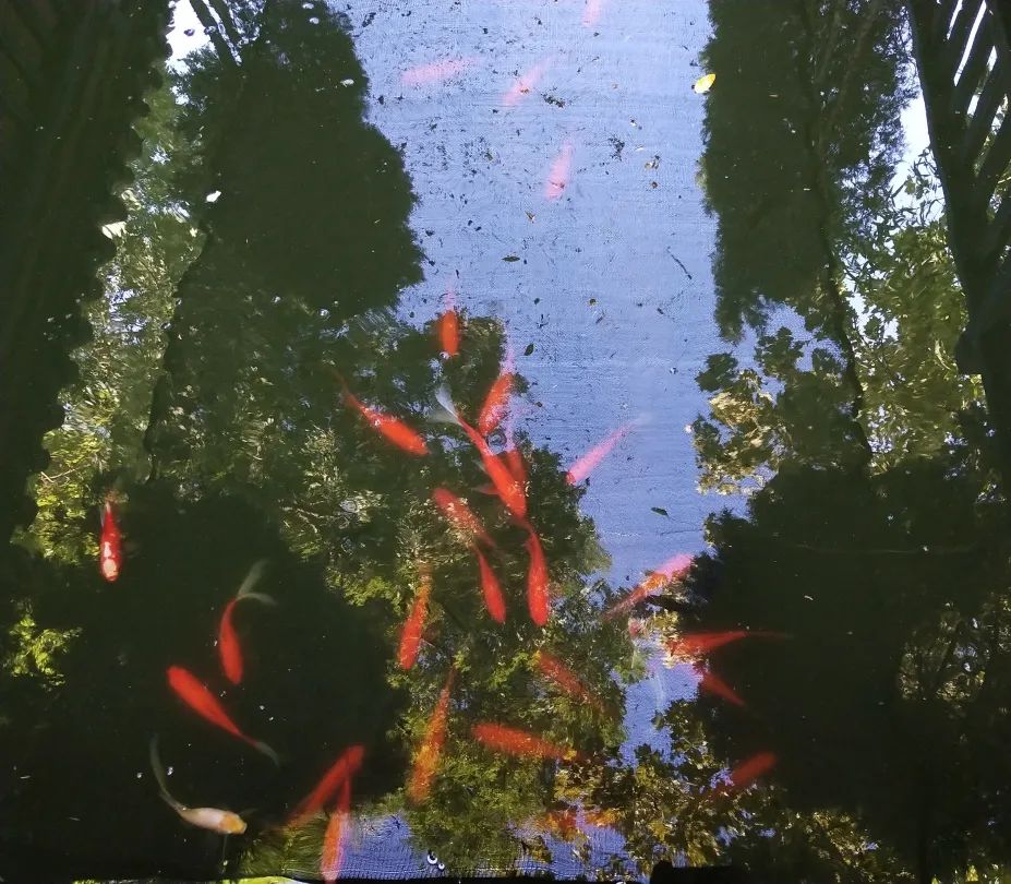 看赵云庙感受,赵云庙景区简介图片欣赏