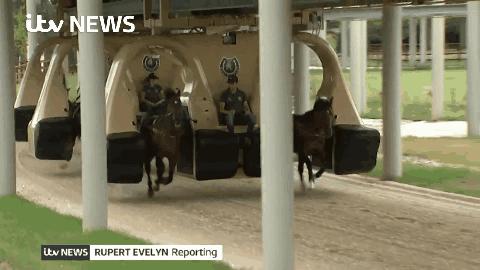 18张有趣的图,33张有趣的照片展示出奇妙的世界