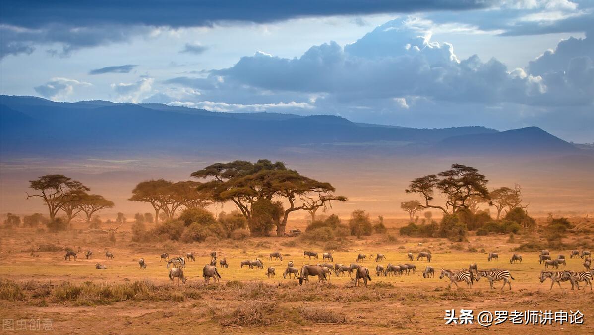 根之茂者其遂的遂的意思,根之茂者其实遂中遂啥意思