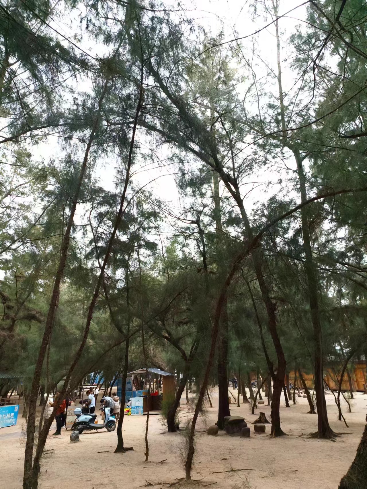 缤果预售价和实际价格,缤果有木有降价