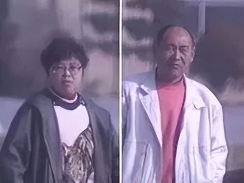 去世的网红二哈,网红二哈不见了