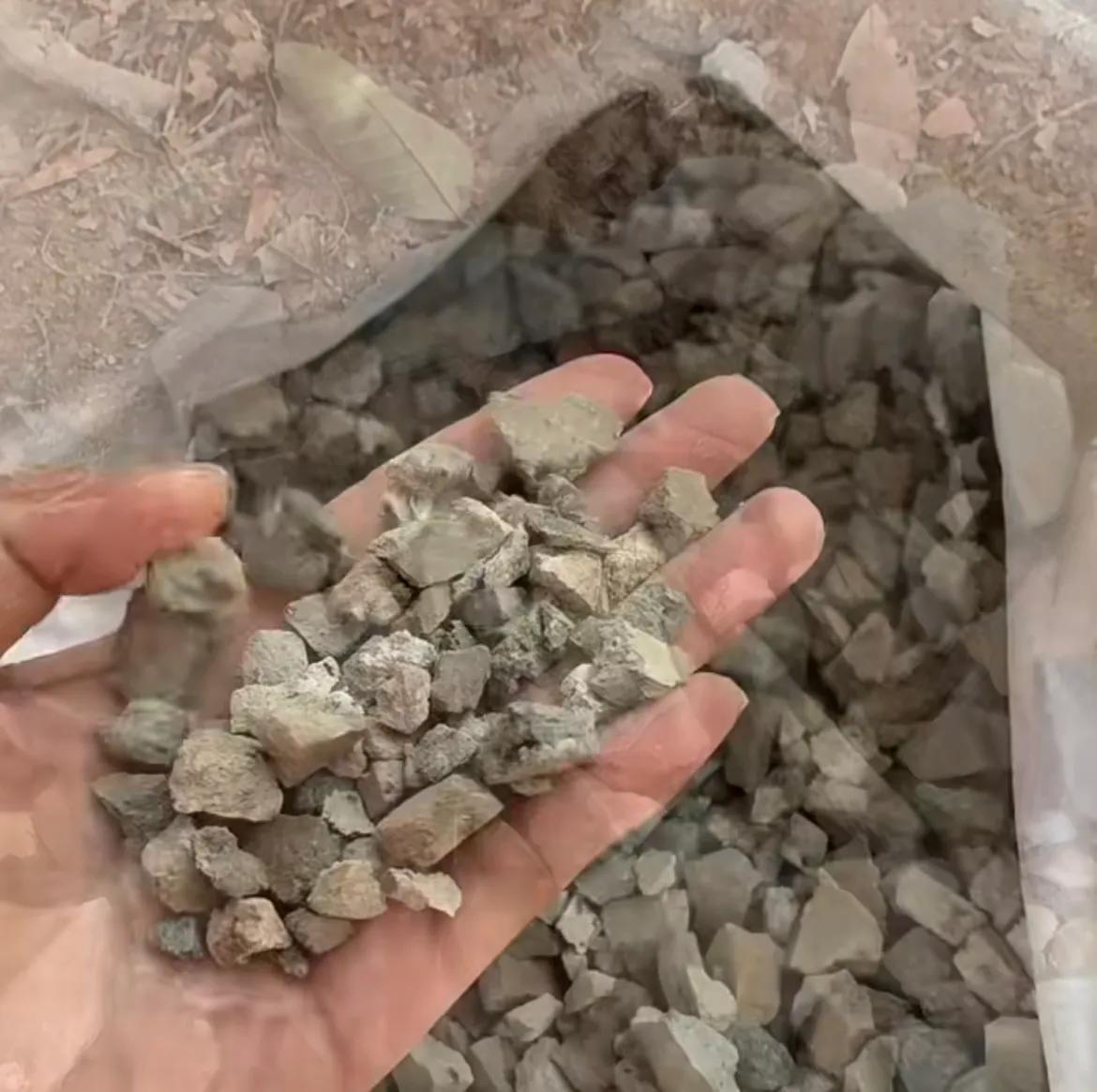 春季换盆的正确方法,春天养5种花别用大花盆