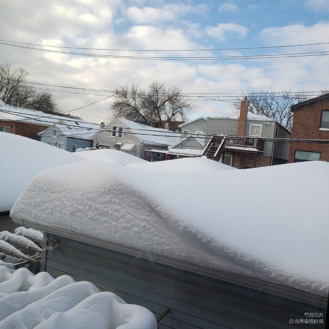 鐧戒簯瀹濊棌灏忚,灏忚鐧戒簯瀹濊棌