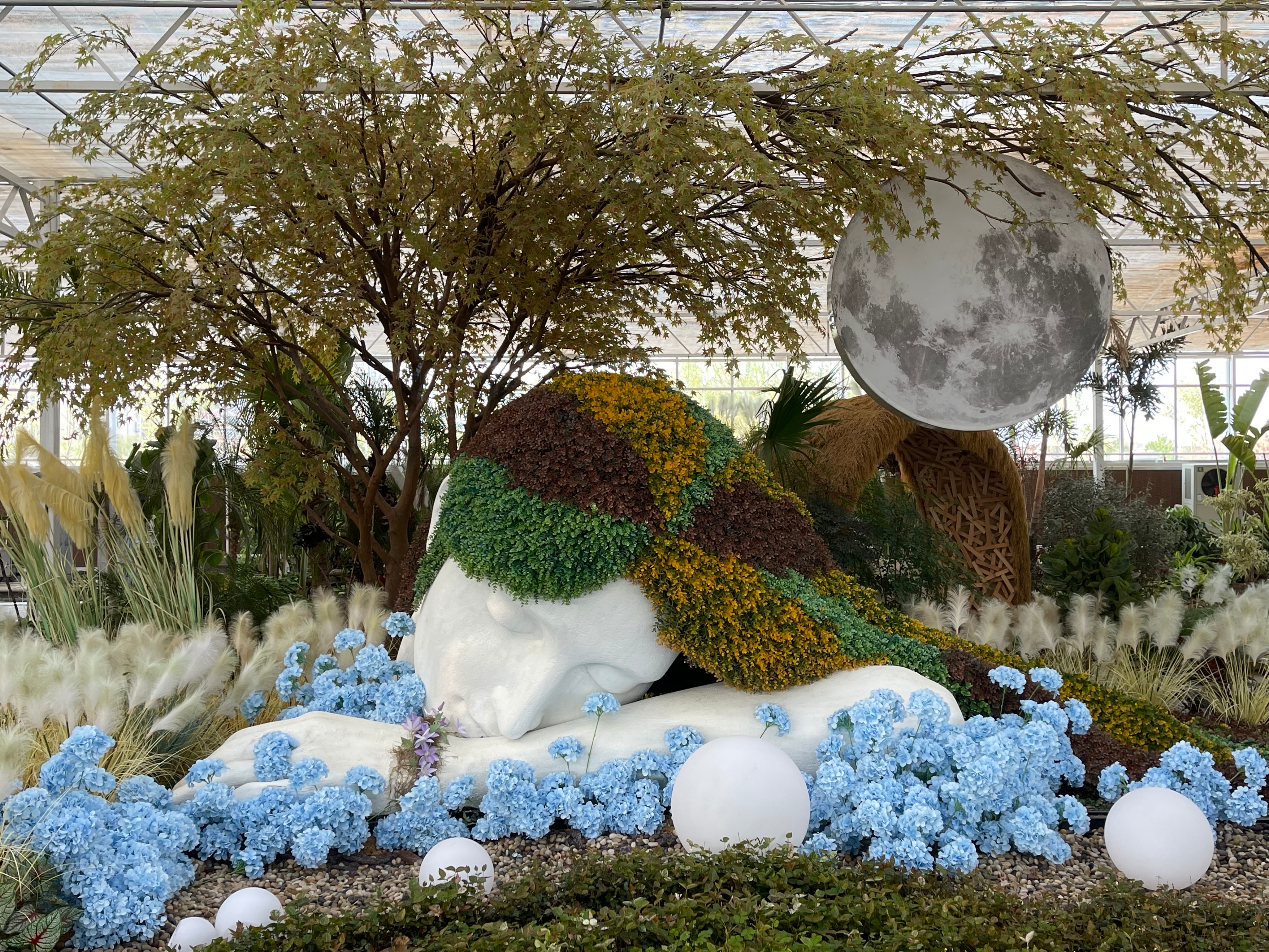 赏花、购花、娱乐，市民自家的小菜园，玉合赢花园中心挺棒