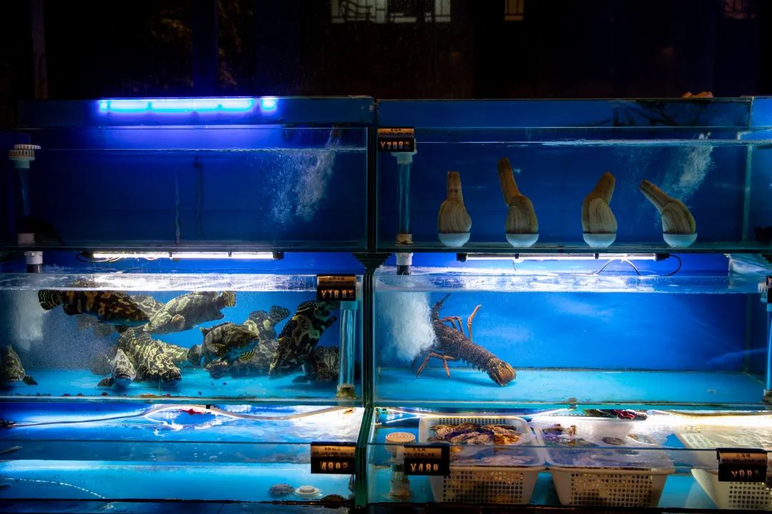 水沙涟·海鲜啤酒季丨夏日呈现青岛风情十人海鲜套餐