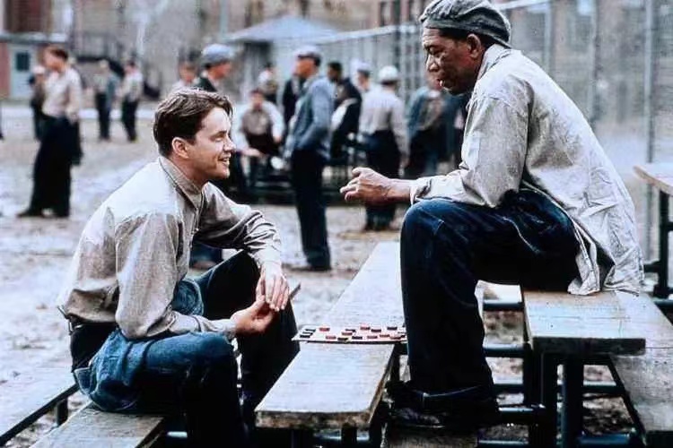 股东未完全出资，为何公司董事需向债权人承担490万美元的责任？