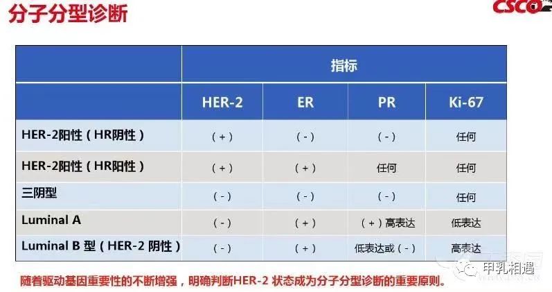 乳腺肿瘤中药外敷后肿块变大,发现乳腺有肿块怎么治疗