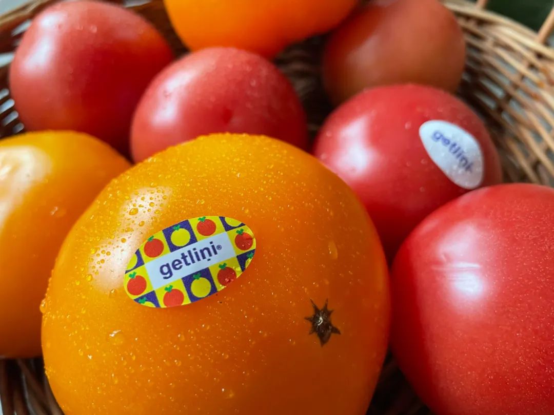 本地好的品牌vi设计,东莞品牌设计vi哪家好